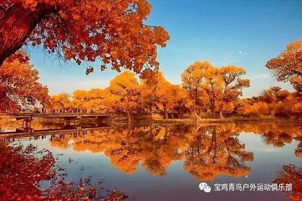 怪物大入侵中文版