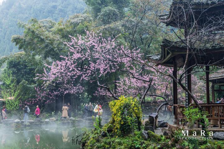 异形：隔离