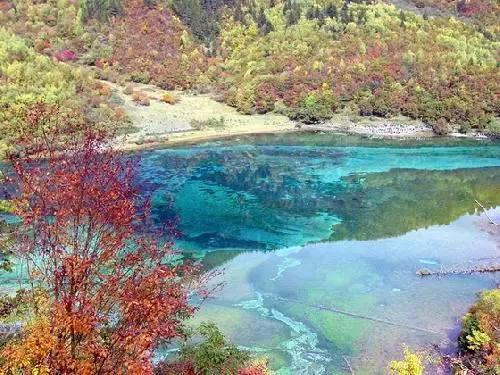 青海省人民政府国资委，国有资本，投资机构持股，控股上市公司
